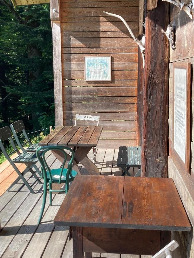 Charmante Gaestewohnung In Altem Bauernhaus In Alpiner Alleinlage Stanz Im Murztal Exterior photo
