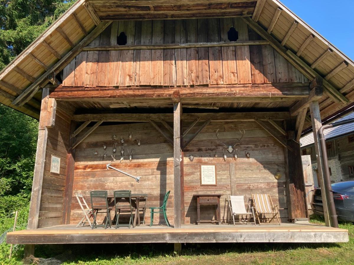 Charmante Gaestewohnung In Altem Bauernhaus In Alpiner Alleinlage Stanz Im Murztal Exterior photo
