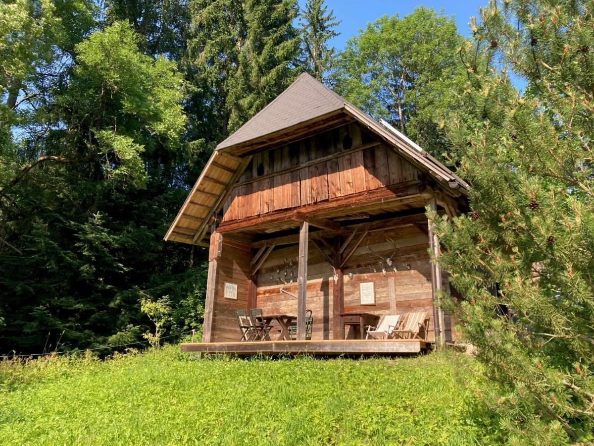 Charmante Gaestewohnung In Altem Bauernhaus In Alpiner Alleinlage Stanz Im Murztal Exterior photo